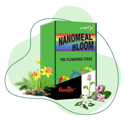 Nanomeal Bloom