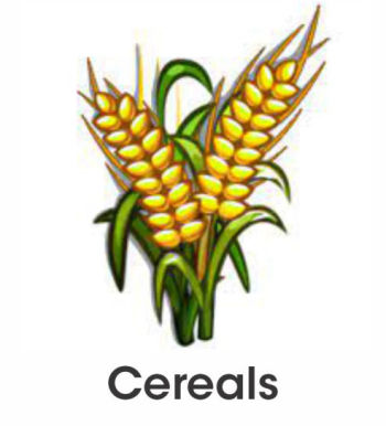 Cereals Crops