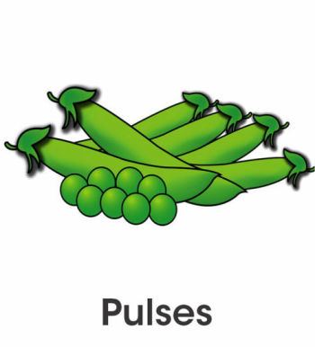 Pulses Crop 
