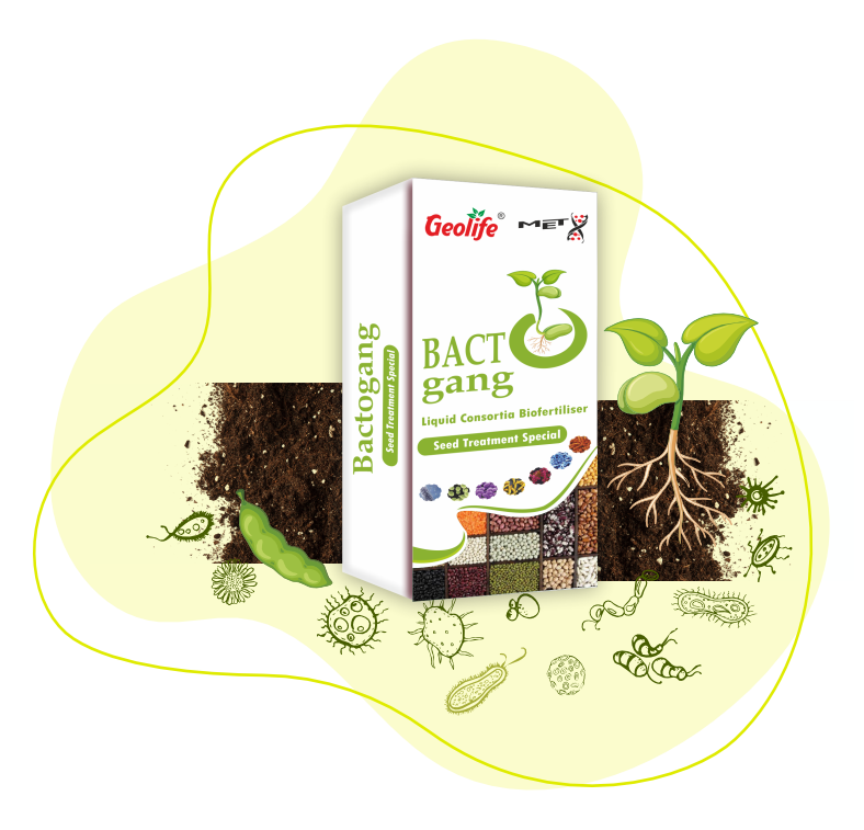 Geolife Bactogang Seed Treatment Special