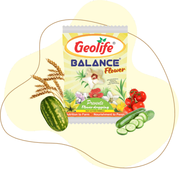 Geolife Balance Flower