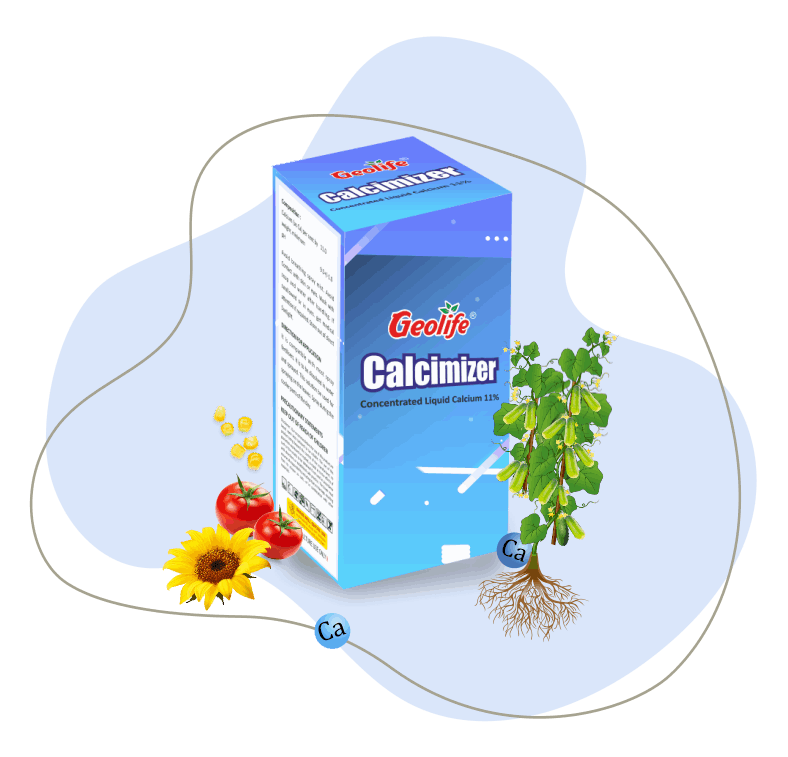 Calcimizer Concentrated Liquid Calcium 11% - geolife