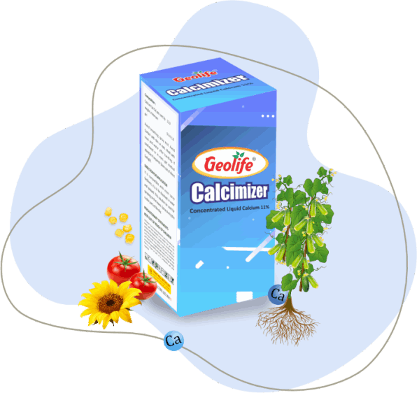 Geolife Calcimizer