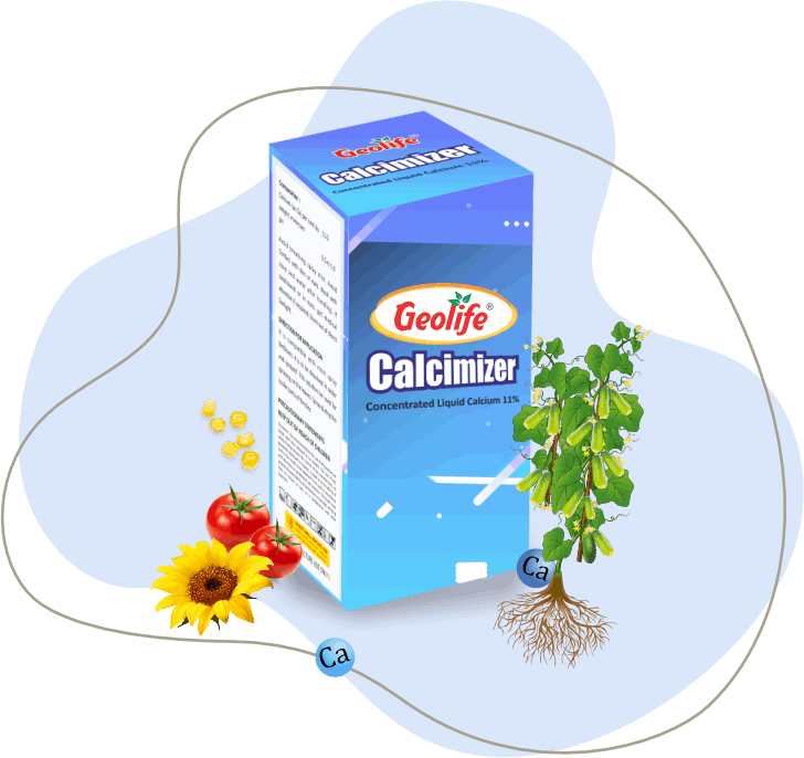 Calcimizer Concentrated Liquid Calcium 11% - geolife