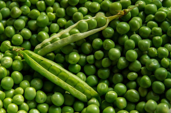 Greenpeas Crop Bio Fertilizer Nutrition and  Protection Package Geolife Agro Nano Technology