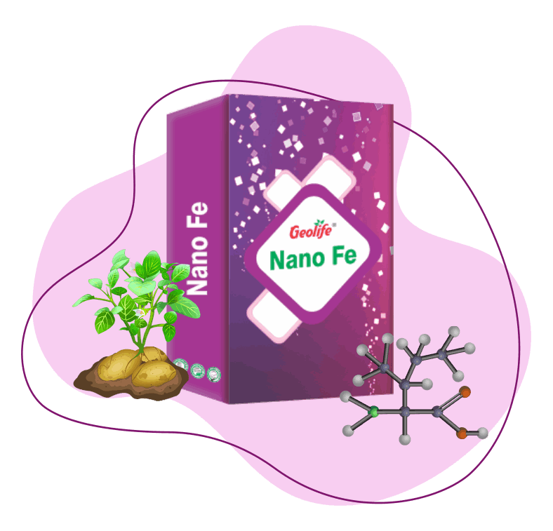 Nano Fe (12%) - Macro Nutrient Fertilizers - Geolife