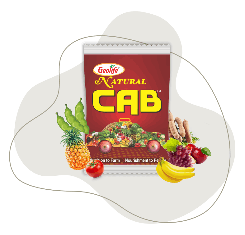 nanomeal Bloom - Pre Flowering Stage - Geolife