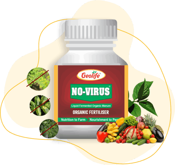 Geolife no virus
