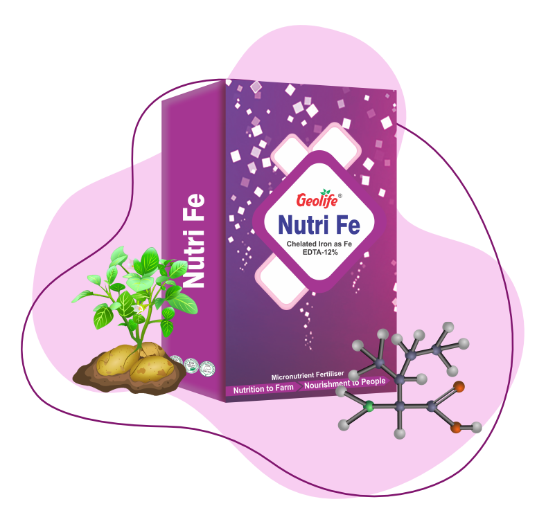 Nano Fe (12%) - Macro Nutrient Fertilizers - Geolife