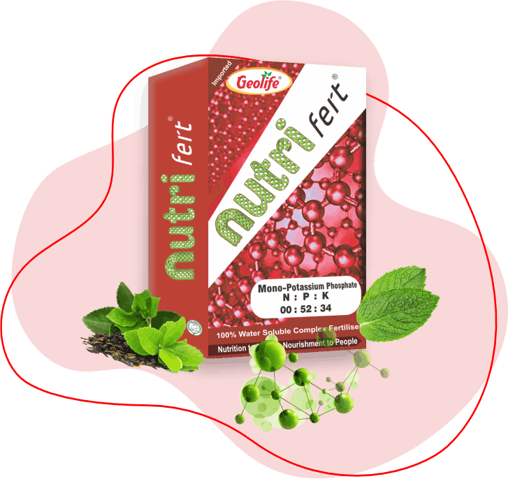 nano fert 00:52:34 - 100% Water Soluble Mixture of Fertilizers - Geolife