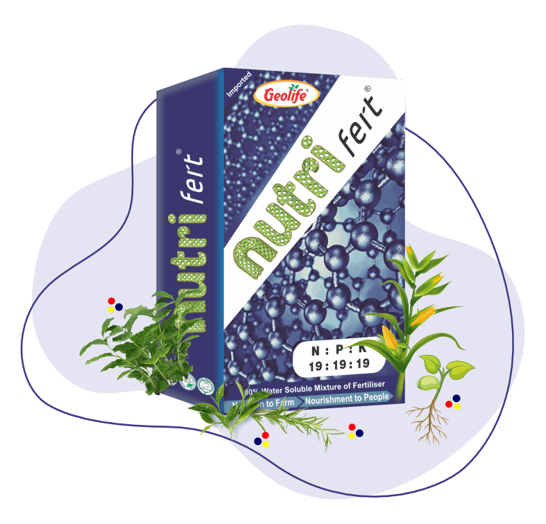 nano fert 19:19:19 - 100% Water Soluble Mixture of Fertilizers - Geolife