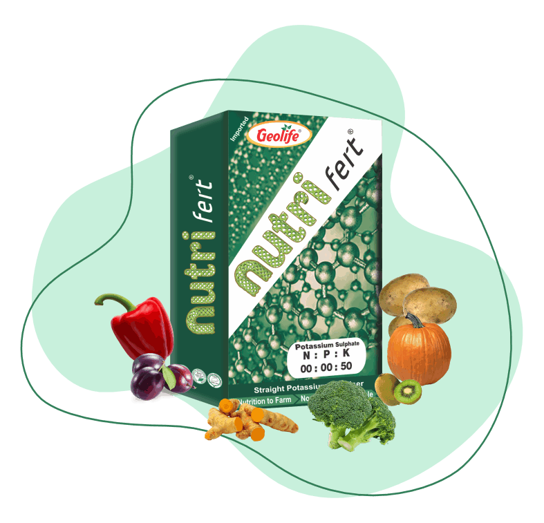 nano fert 00:00:50 - 100% Water Soluble Mixture of Fertilizers - Geolife