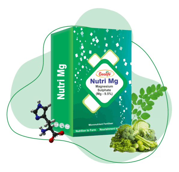 Geolife Nutri Mg