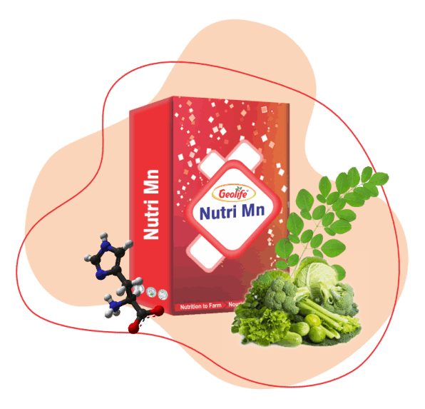Geolife Nutri Mn