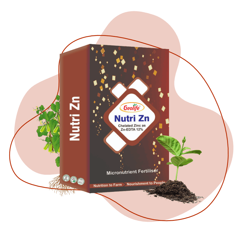 Nano Zn - Macro Nutrient Fertilizers - geolife