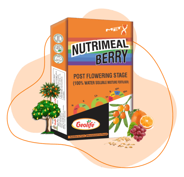 Geolife Nutrimeal Berry