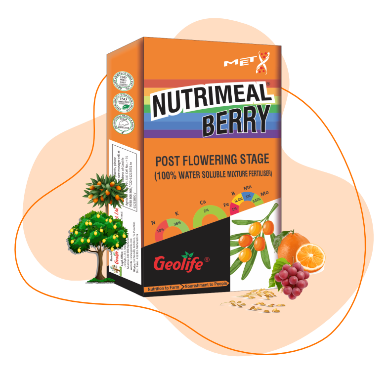 Geolife Nutrimeal Berry