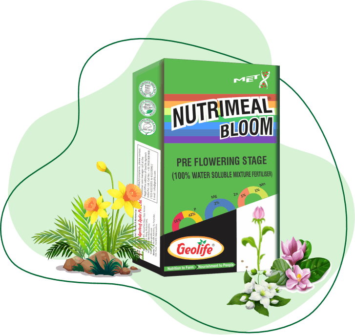 nanomeal Bloom - Pre Flowering Stage - Geolife