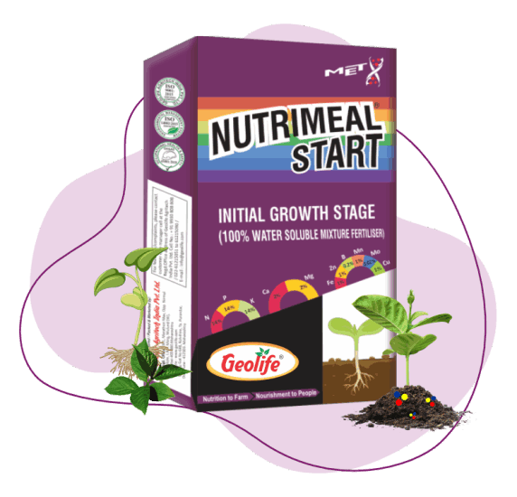 Water Soluble Mix Fertilizers