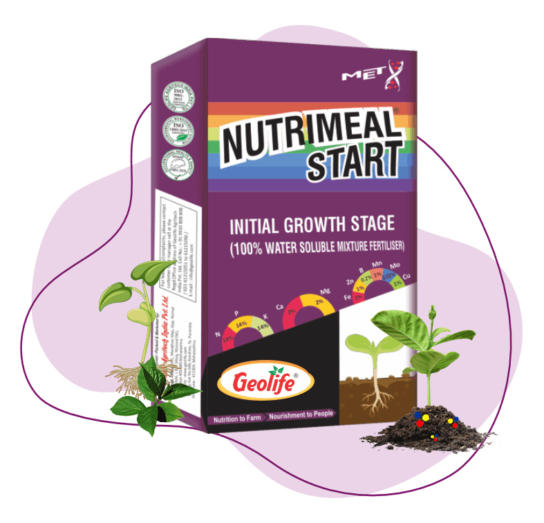 Nanomeal Start - Initial Growth Stage - geolife