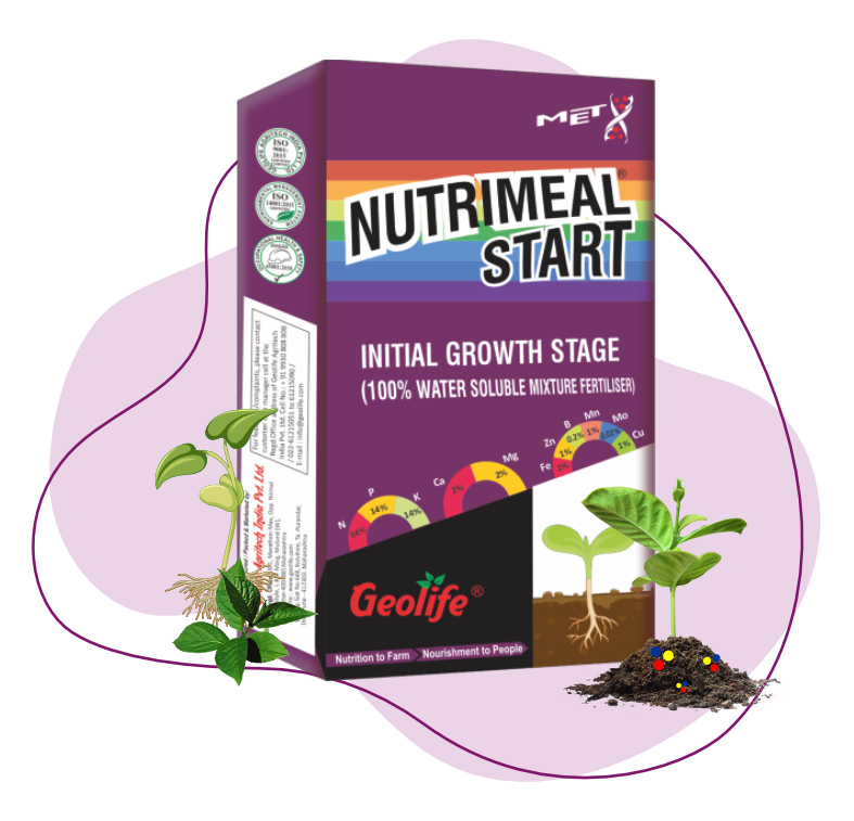 Geolife Nutrimeal Start