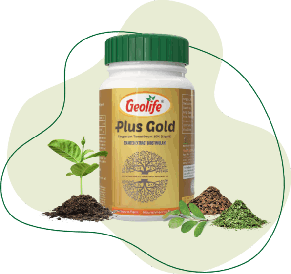 Geolife Plus Gold