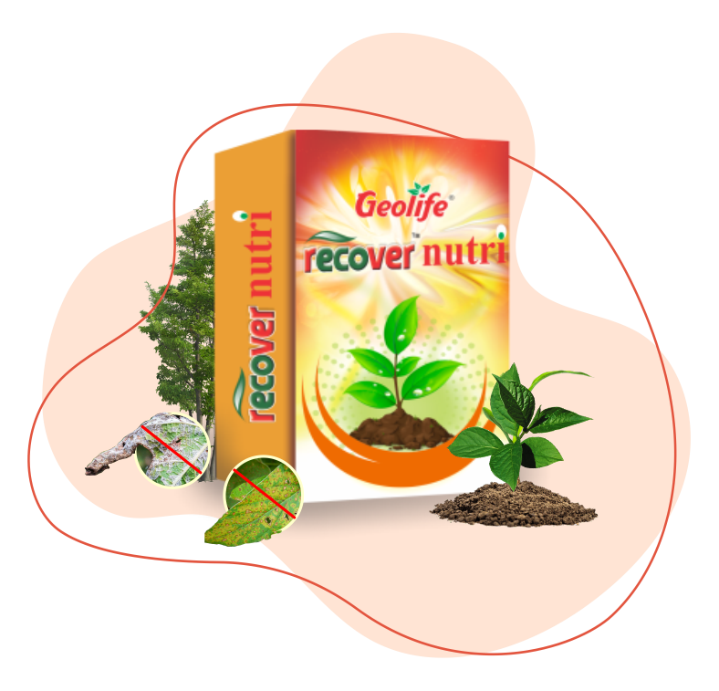 Geolife Recover Nutri