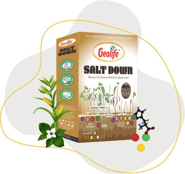 Geolife Salt Down