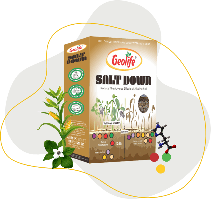 Salt Down - Innovative Salt Minimizer - Geolife