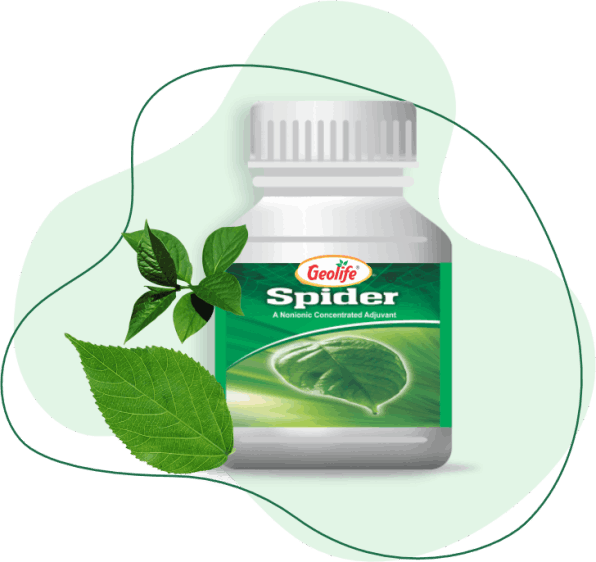 Geolife Spider