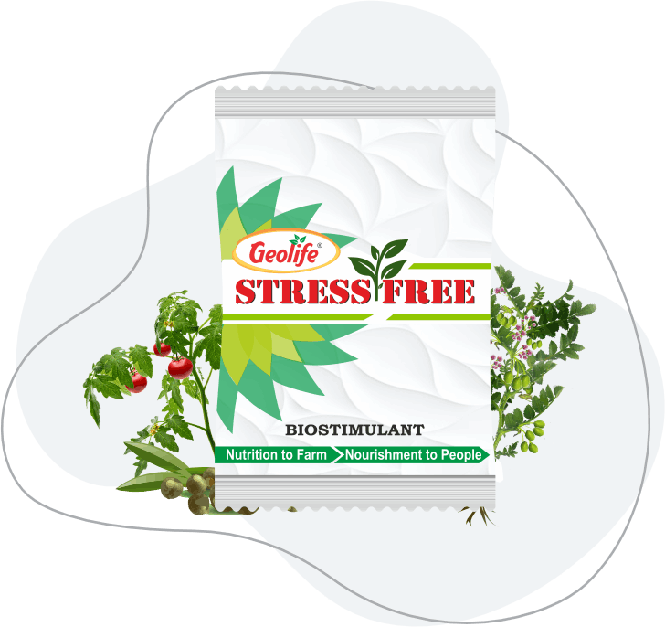 Stress Free - Performance Enhancer of Selective Herbicides - Geolife