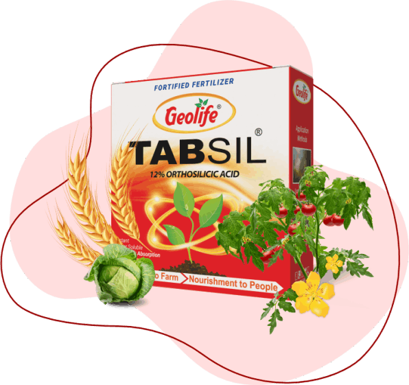 Geolife Tabsil