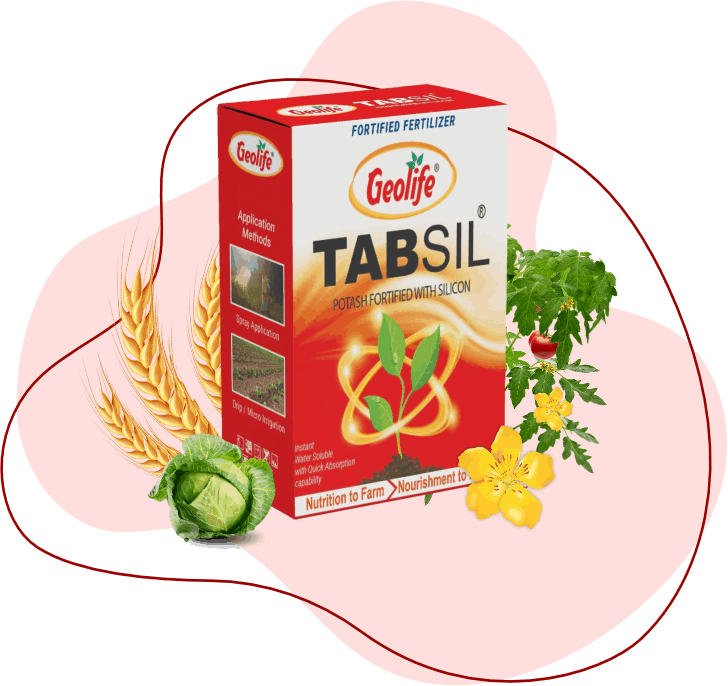 Tabsil - water soluble Ortho Silicic Acid - Geolife