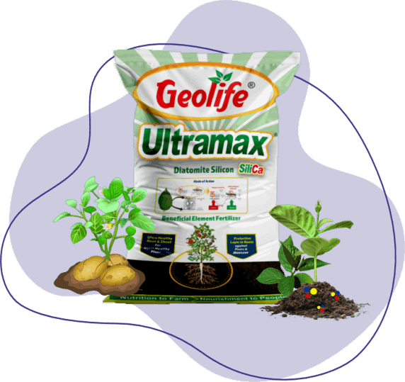 Nano Technology Complete Nutrient Fertilizers