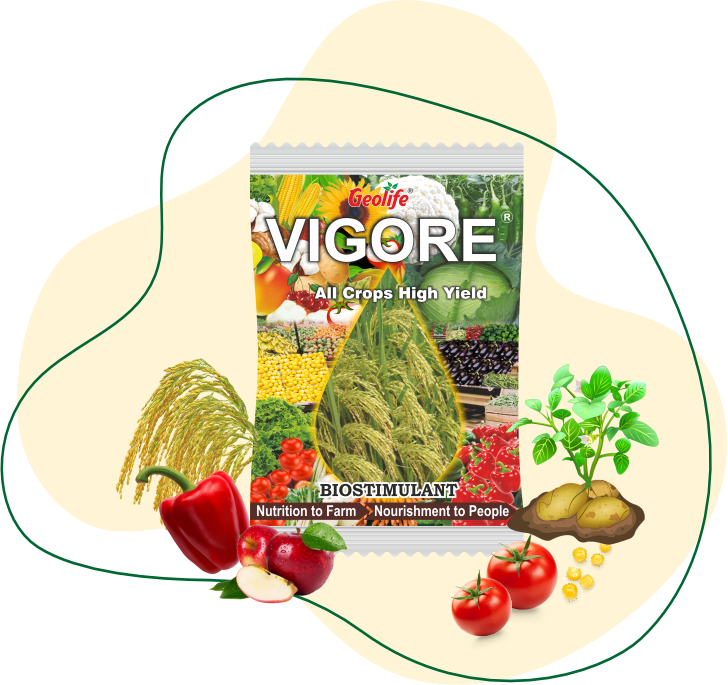 Vigore -Speciality Nutrients and Bio-Stimulants - Geolife