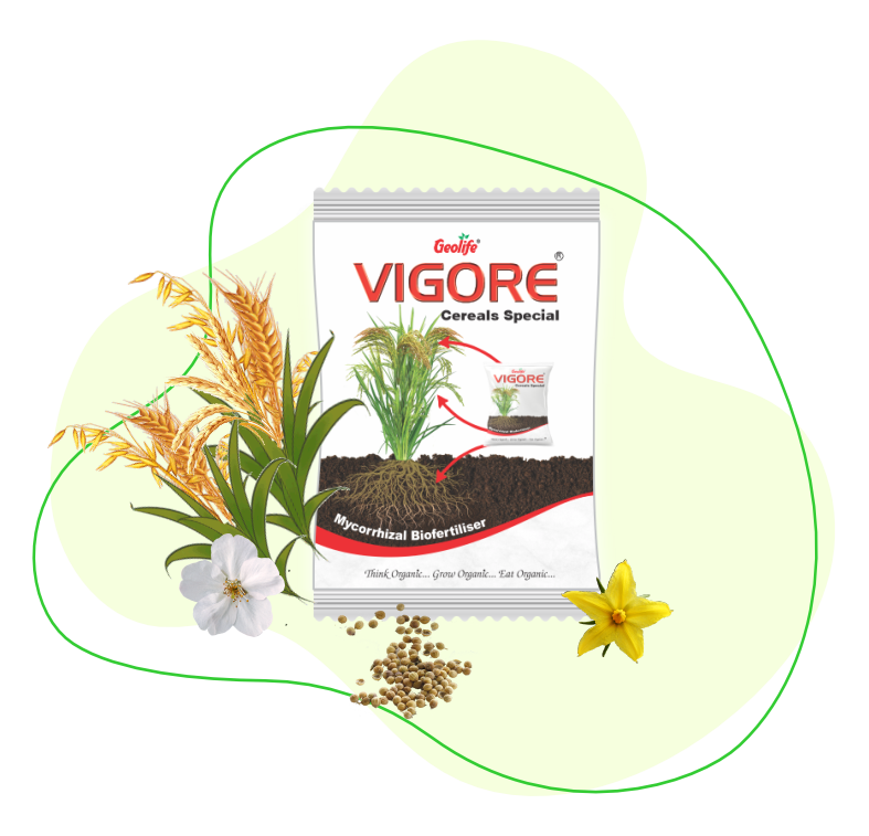 Geolife Vigore Cereal Special