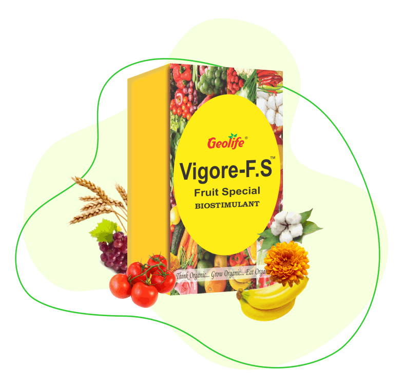 Vigore-F.S - It improves photosynthesis and help to uptake nutrient - Geolife