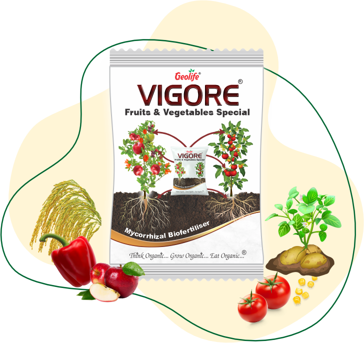 Geolife Vigore Fruits and Vegetables Special
