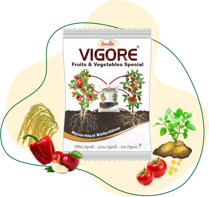 Change - Plant Growth Promoter - Geolife