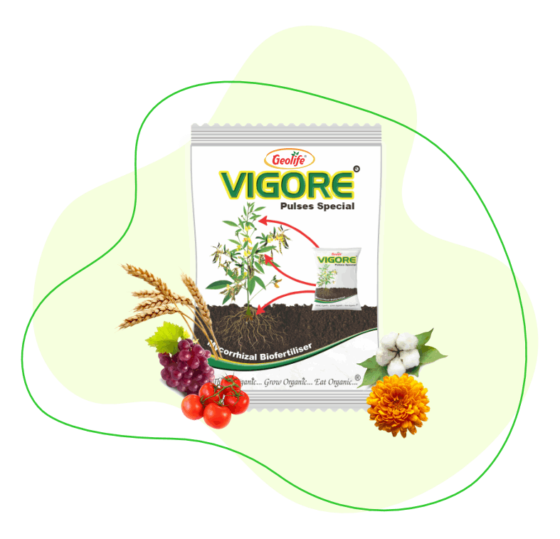 Change - Plant Growth Promoter - Geolife