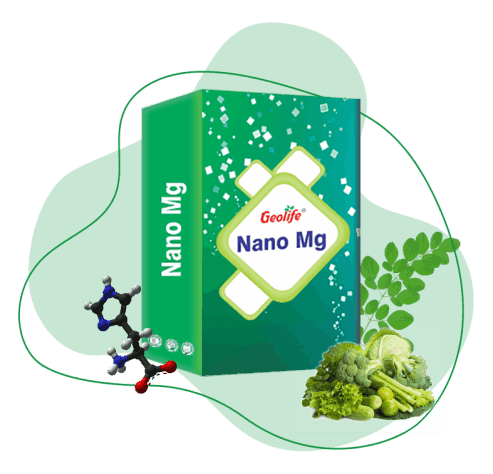 Nano Technology Micro Nutrient Fertilizers