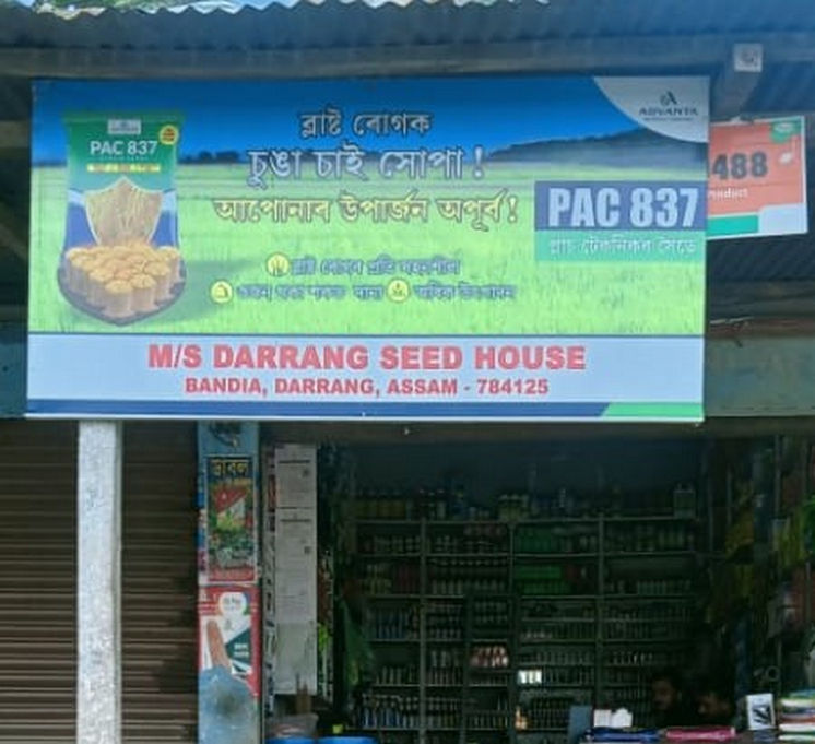 Darrang Seeds Housebandia | Best Agriculture & Fertilizer products shop inDarrang Mangaldoi