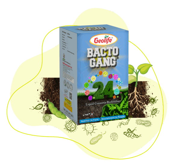 Nano Technology Complete Nutrient Fertilizers