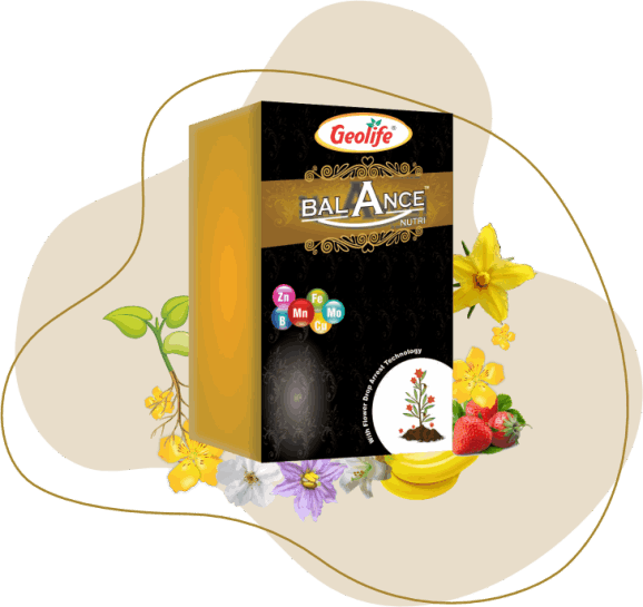 Nano Technology Complete Nutrient Fertilizers