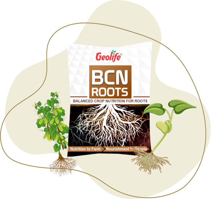 Balance crop Nutrition for roots