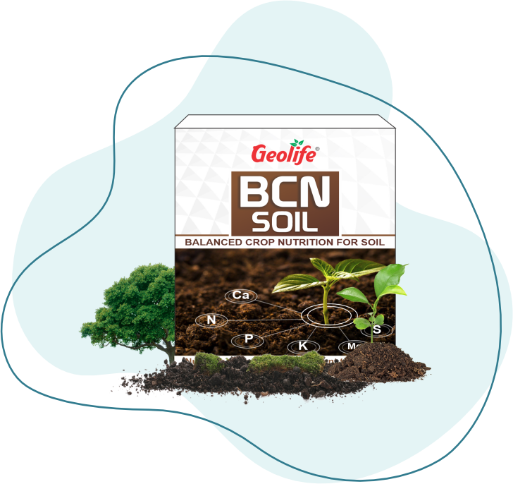 Balance Crop Nutrition for Soil