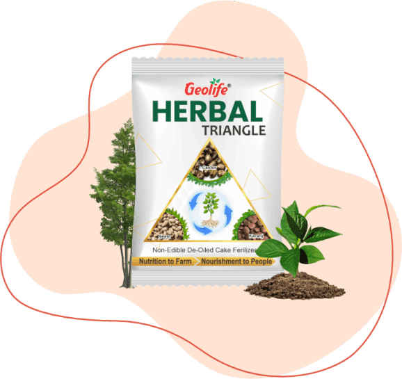 Herbal Triangle