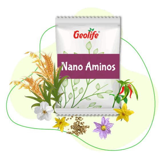 Nano Amino