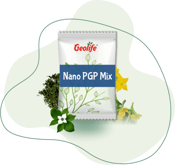 Nano PGP Mix