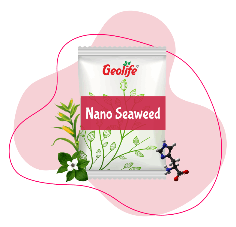 Nano Seaweed